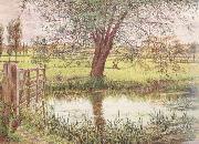 William Bell Scott, Landscape with a Gate and Watermeadow (mk46)